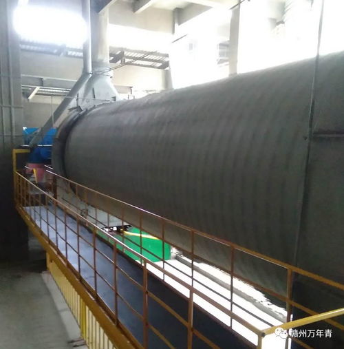 同心协力搞亮化 生产设备披新衣——瑞金公司水泥车间开展设备亮化活动等三则简讯