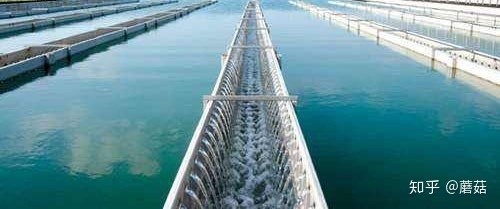 青软青之助力德阳市自来水公司污水处理实验室信息化管理升级