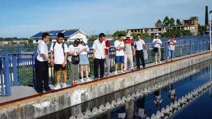 巡访东山溪流，看我材料河小禹——污水处理与再生利用实践探索